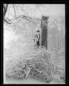 Wendell Phillips statue, Public Garden, in the snow