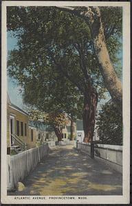 Atlantic Avenue, Provincetown, Mass.