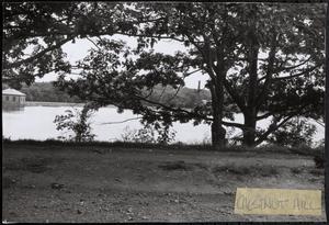 Chestnut Hill Res., Bri.