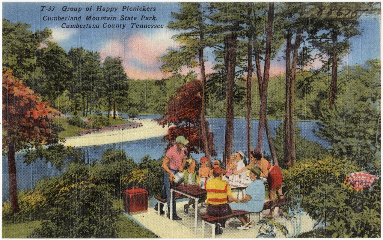 Group of happy picnickers, Cumberland Mountain State Park, Cumberland County, Tennessee