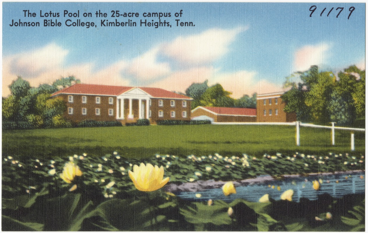 The Lotus pool on the 25-acre campus of Johnson Bible College, Kimberlin Heights, Tenn.