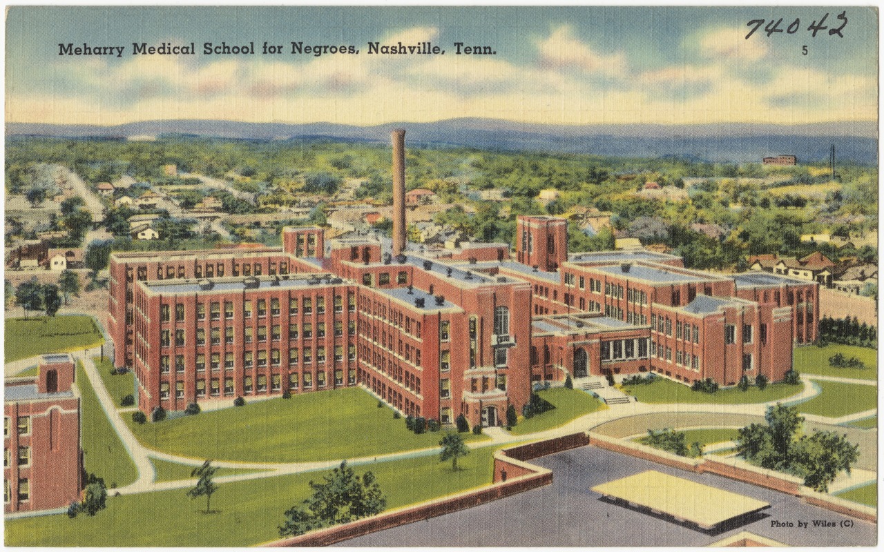 Meharry Medical School for Negroes, Nashville, Tenn.