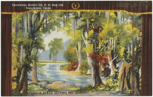 Texarkana Scenic Co., P. O. Box 114, Texarkana, Texas. Exterior stage setting No. 10