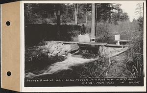 Beaver Brook at weir below Pepper's mill pond dam, Ware, Mass., 9:35 AM, May 5, 1936