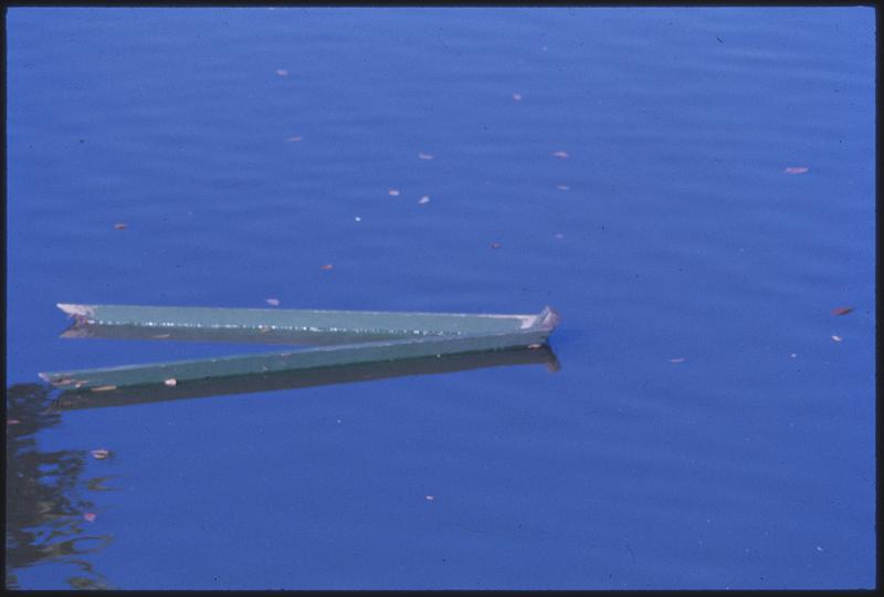 Debris floating on water Digital Commonwealth