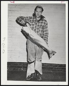 First Cape Striper – Howard W. Kelley displays a 21-pound striped bass which he caught on a plug with attached eel skin at the mouth of the Bass River on Cape Cod. It is believed to be the first striper of the season, taken in that area.
