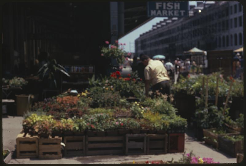 Flowers for sale outside Salty Dog Fish Market, Quincy Market, South