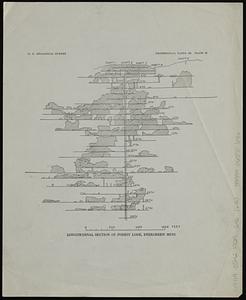 Longitudinal section of Forest Lode, Evergreen Mine
