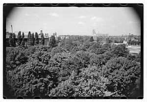 Black Forest and views from roof - Gertrude Sands