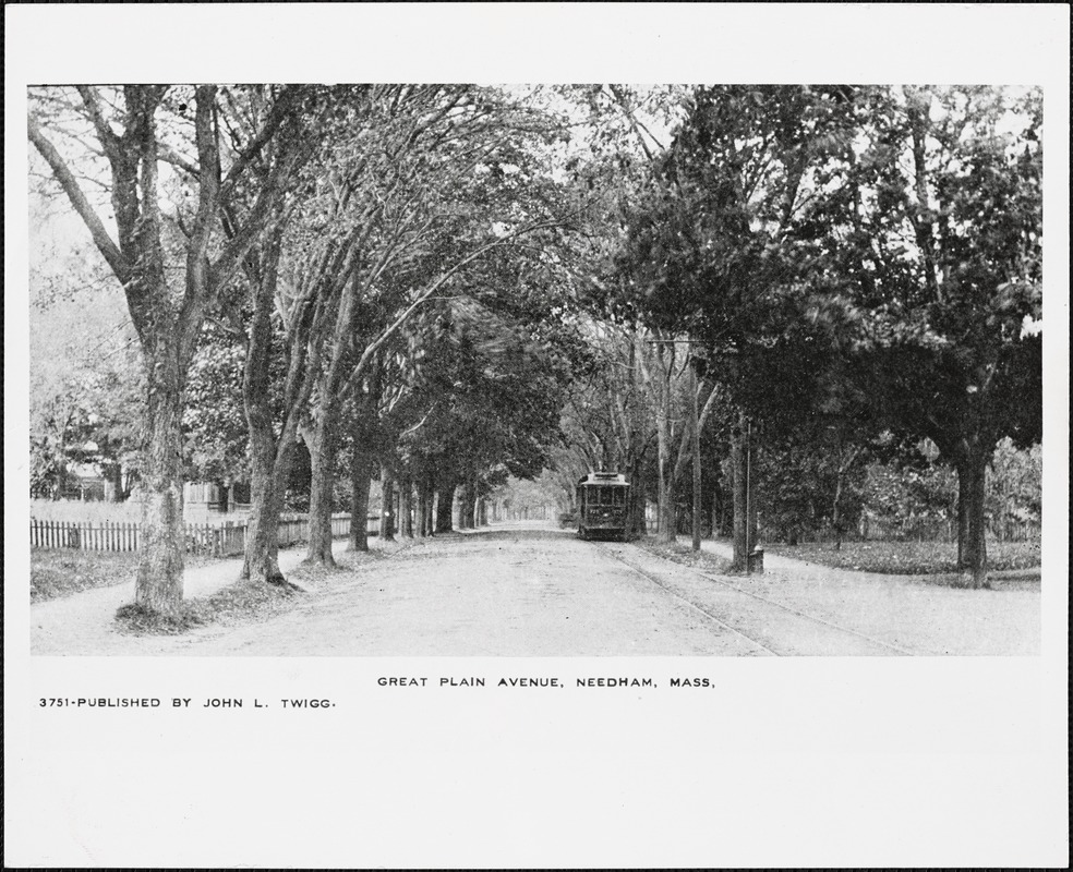 Great Plain Avenue, Needham, Mass., with trolley car