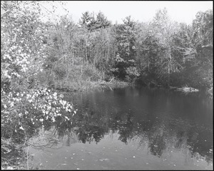 Babson Pond, late 1980s