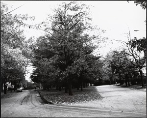 Coulton Park, late 1980s