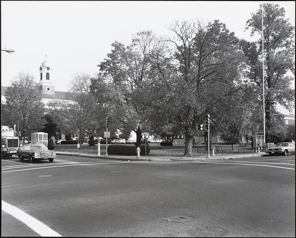 Town common, late 1980s