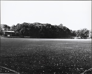 Cricket Field, late 1980s