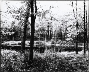 High Rock Pond, late 1980s