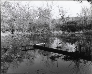 West Street Pond, late 1980s