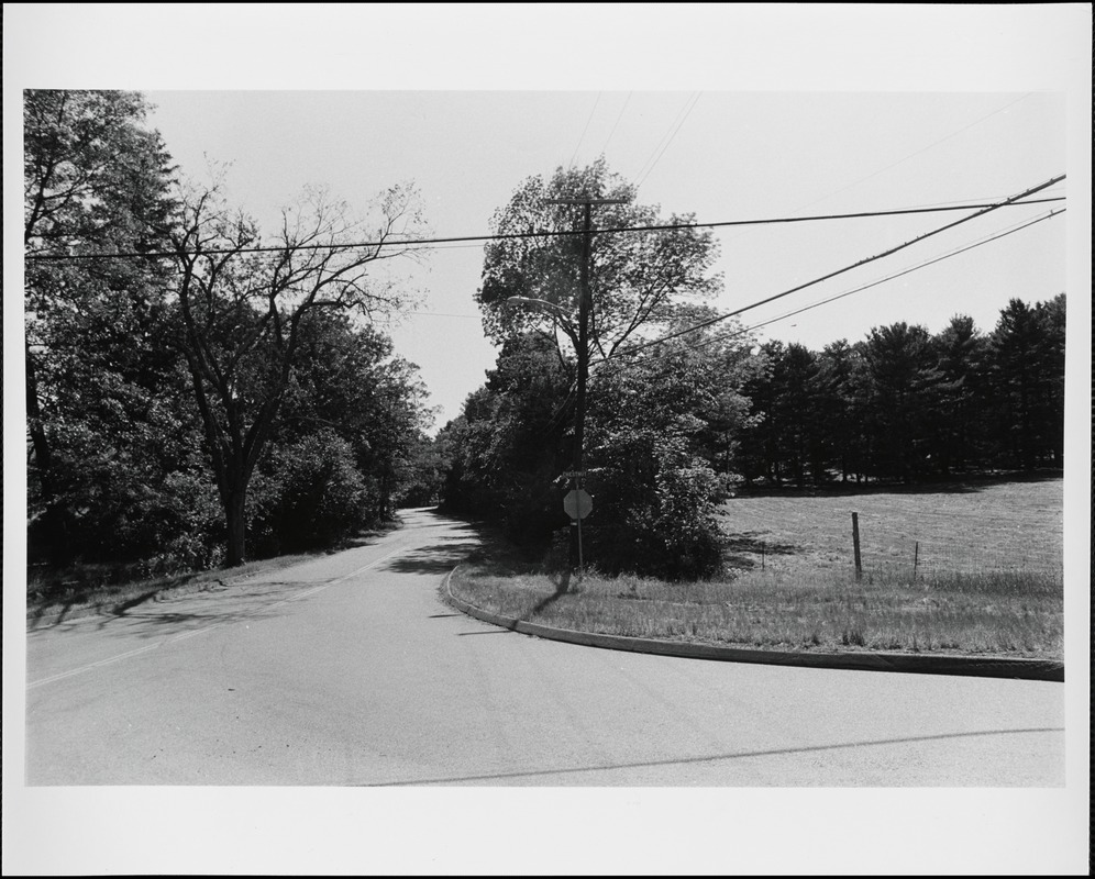 Intersection: South & Chestnut Sts.