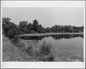 A view of the Reservoir off of Dedham Avenue