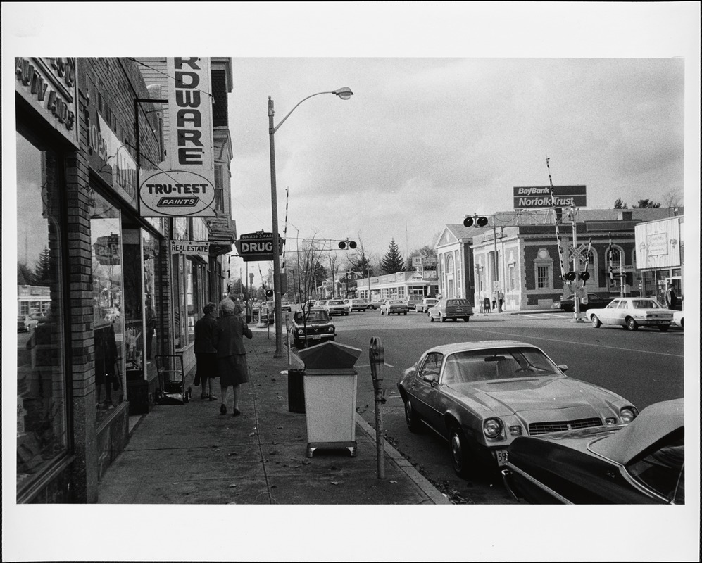 Stores on Great Plain Ave.