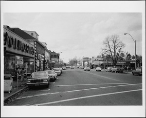 Stores on Great Plain Ave.