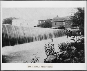 Dam at Charles River Village