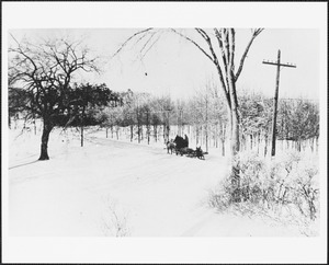 Great Plain Avenue, near big bend and Bird's Hill