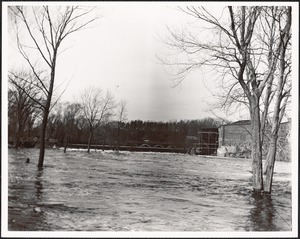 Newell's Bridge