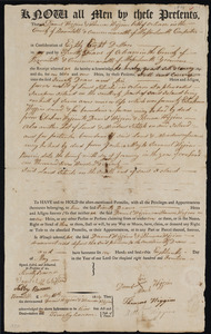 Deed of property in Orleans sold to Timothy Doane of Orleans by Daniel Higgins and Thomas Higgins of Orleans