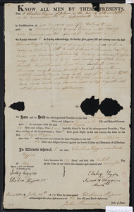 Deed of property in Orleans sold to Thomas Higgins of Orleans by Eliakim Higgins and Sarah H. Higgins of Orleans