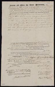Deed of property in Orleans sold to Theophilus Mayo, Samuel Mayo, and Freeman Mayo of Orleans by Simon Higgins, Lucy Higgins, George W. Higgins, Abigail Higgins, and Melinda Higgins of Orleans; Brewster