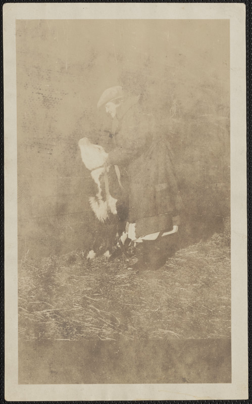 Woman and cow