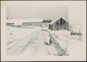 Messenger Farm In Snow