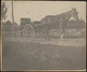 Horse and Carriage