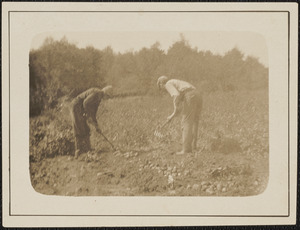 Two Men Tending Field