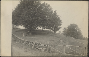 Cemetery