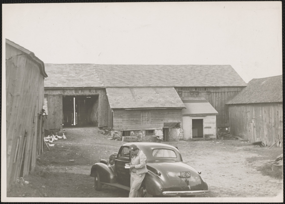 Loehr Farm Barns