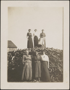 Messenger Women and Firewood