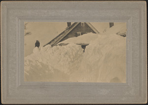 Winter 1915-1916 Whitney Estate