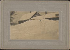 Winter 1915-1916 Whitney Estate