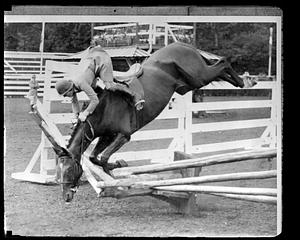 Horse jumping accident