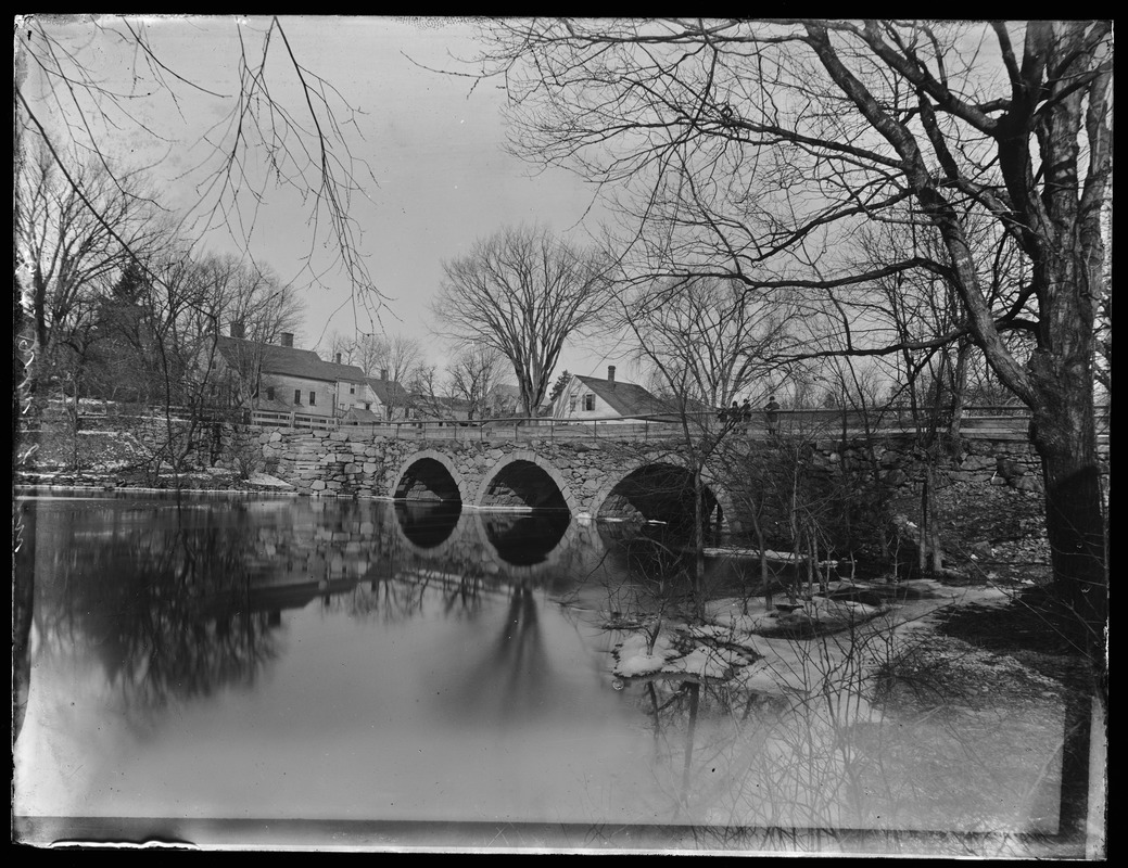 Glass Plate Negatives - [Scenes of Newton, Massachusetts] -