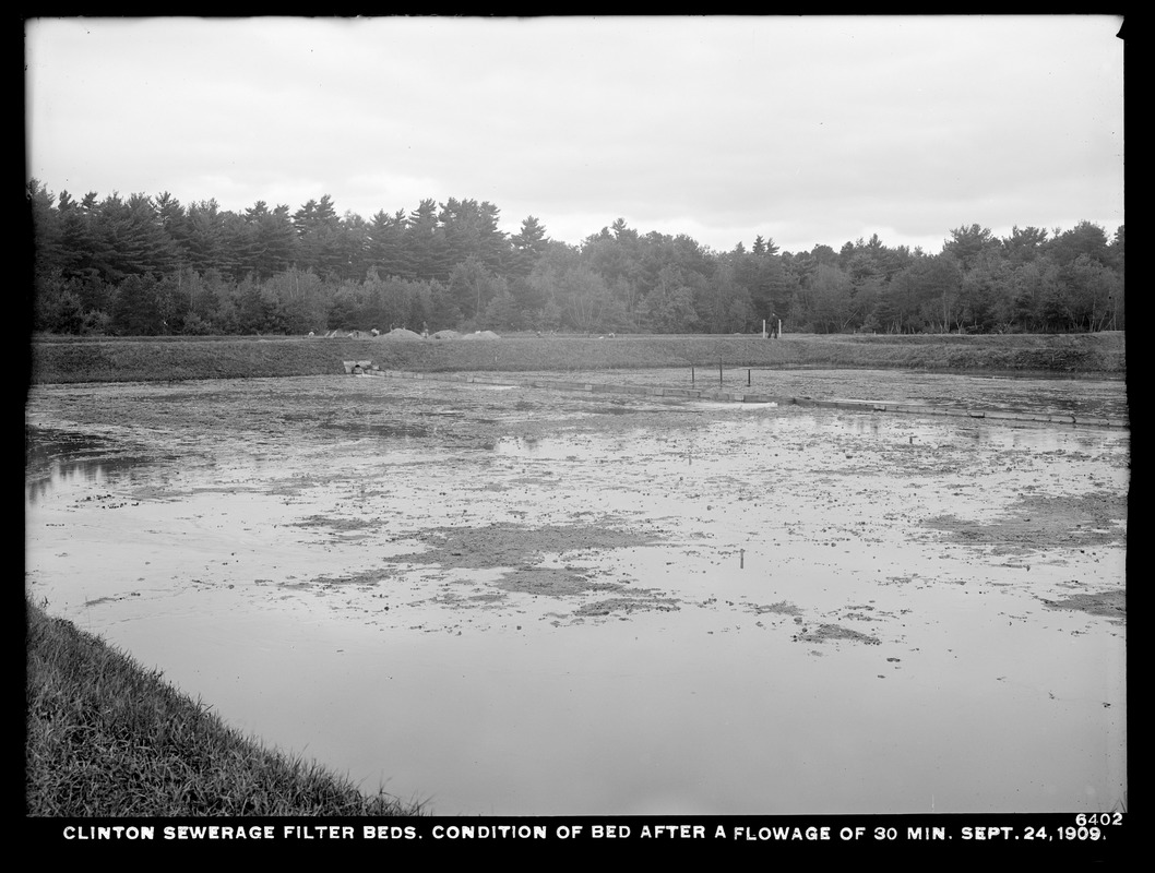 Wachusett Department, Clinton Sewerage filter-beds, condition of bed after a flowage of 30 minutes, Clinton, Mass., Sep. 24, 1909