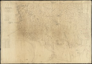 Topographical Map/ of the Town Site/ of/ Siguanea[orig]/ Plan of the Subdivision of/ the Town of Siguanea[orig]/ Field Notes by JFD & HHB[r]/; Scale 1mm = 2.5 M [orig]