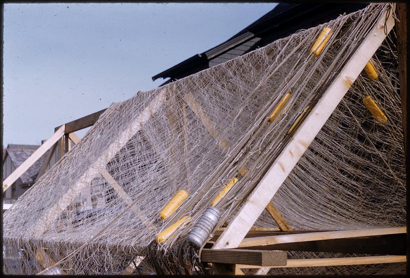 Fishing nets drying