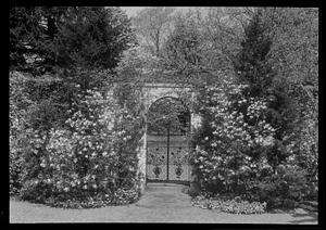 Mrs. Whitney's walled garden from south corner of middle terrace