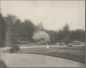 Boston, Massachusetts, Public Gardens, Arlington Street side