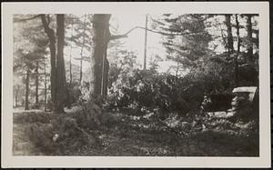 New England Hurricane, 1938