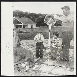 Milk for Hogs and Children at this Canonsburg, Pa., dairy farm while families in strike-bound areas must go without. Washington, families must have a doctor's certificate to obtain limited quantities of milk.