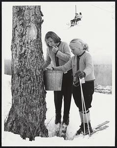 Sweet Mystery-Two girl skiers can't resist sampling the maple sap dripping into a bucket at Big Bromley ski area in Vermont. Although Big Bromley has since closed the maple season is expected to last a couple of more weeks. Alison Cady and Joan Farley, both of Bedford, N.Y., found watery sap wasn't very tasty. There is still skiing at many northern New England areas.