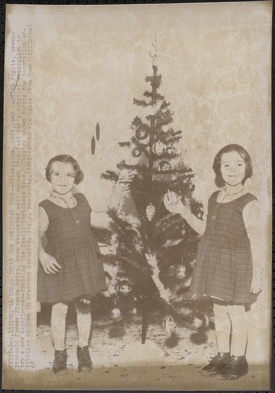 They'll dress their own Christmas tree